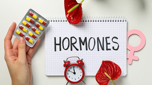 What is the Role of Hormones in Fertility?